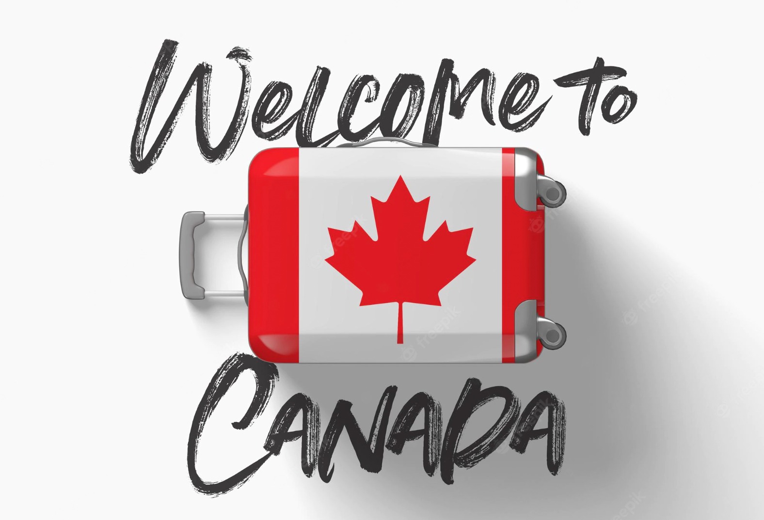 خدمات نیوکامرها